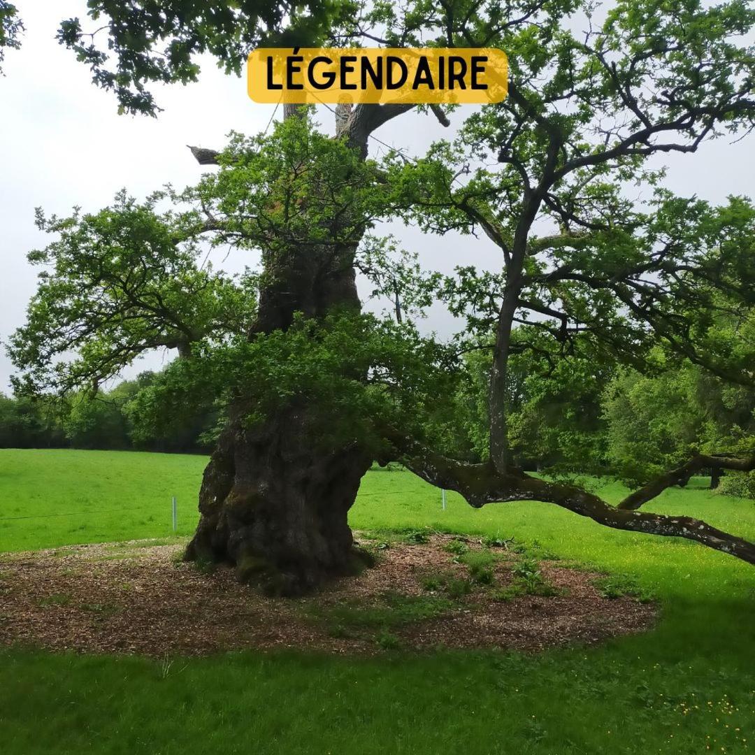 Camping Le Val Aux Fees - Broceliande Concoret Exterior foto